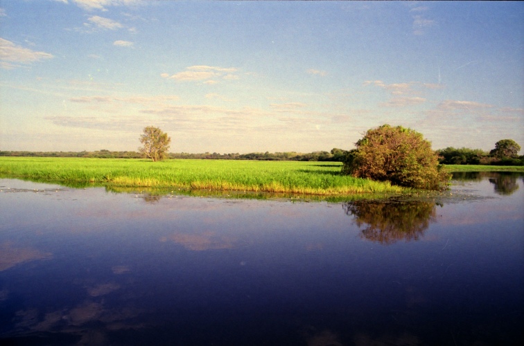 AU109-19CL.jpg