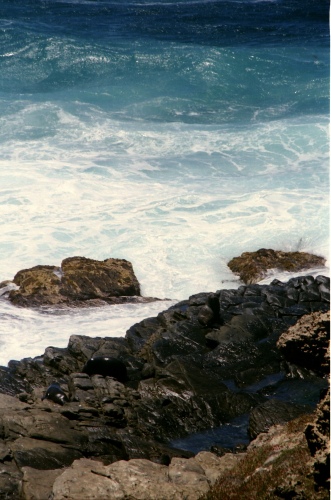 AU122-10r.jpg
