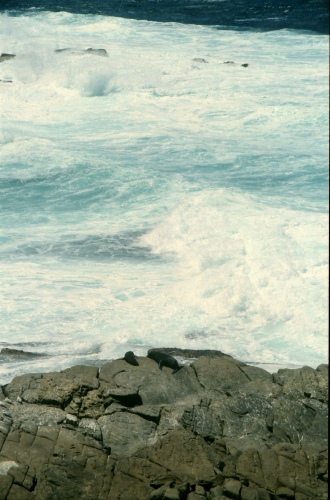 AU122-15r.jpg