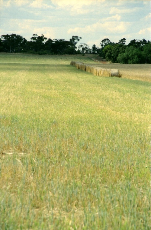 AU124-27r.jpg