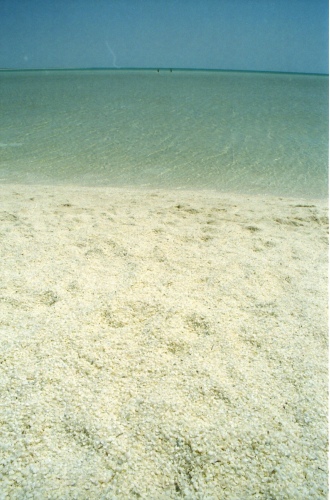 AU103-13r.jpg