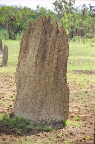 AU112-17r.jpg