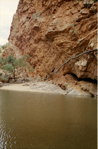 AU113-21r.jpg