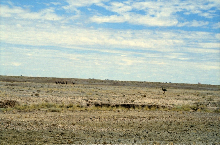 AU114-01.jpg