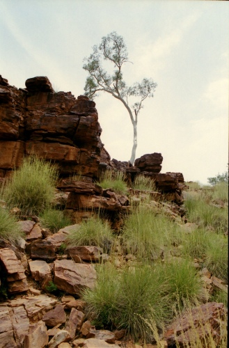 AU115-21r.jpg