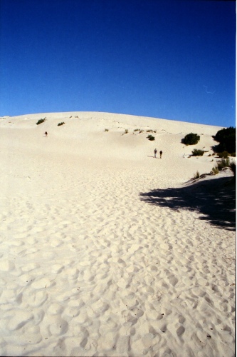 AU125-01r.jpg