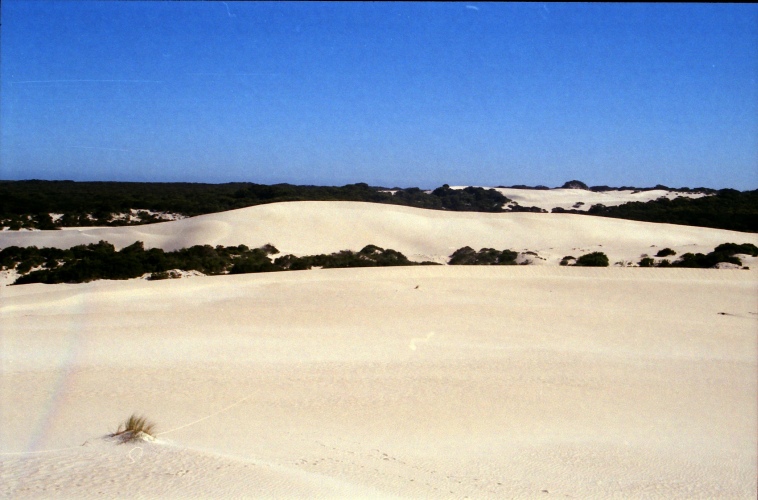 AU125-04.jpg