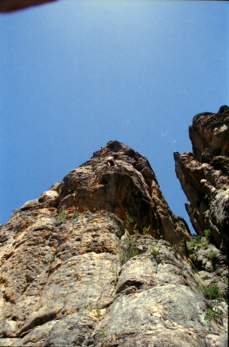 AU125-14r.jpg