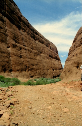 AU119-17r.jpg