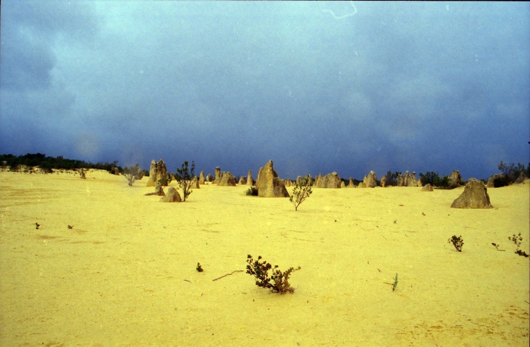 AU101-20r.jpg