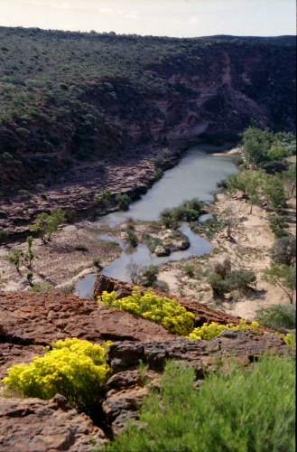 AU102-10r.jpg