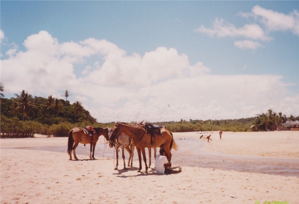 Trancoso	Brasil-Ina-s-am-1-br005-1-2.jpg