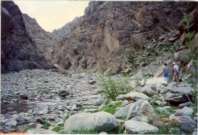 19960710-ningxia-holan-07-green15.jpg