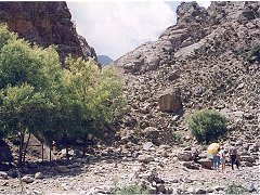 Ningxia golan1