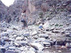 Ningxia golan2
