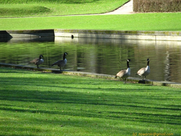 20120326-113438-Dusseldorf-Benrath-2949.jpg