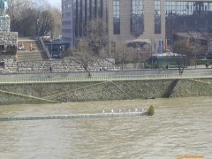 20070215-0908.jpg