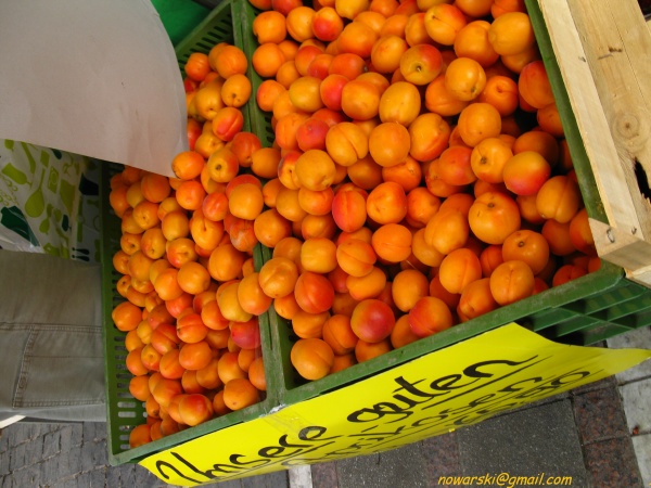 20110618-150734-Frankfurt-0485.jpg