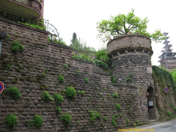20090429-133030-heidelberg-0647.jpg