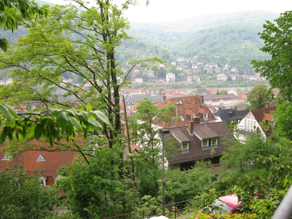 20090429-133848-heidelberg-0653.jpg