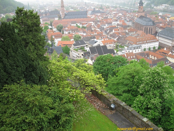 20090429-145818-heidelberg-0701.jpg