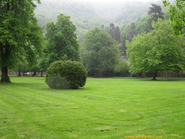 20090429-151412-heidelberg-0717.jpg
