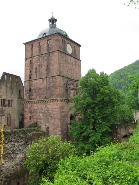 20090429-155204-heidelberg-0726.jpg