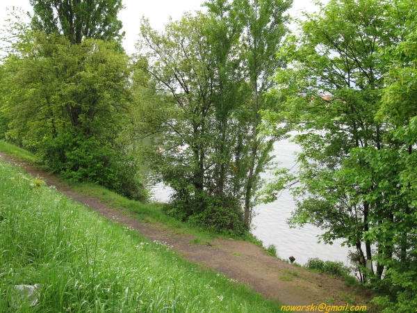 20090429-170818-heidelberg-0760.jpg