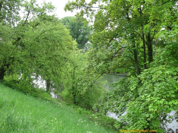 20090429-171058-heidelberg-0763.jpg