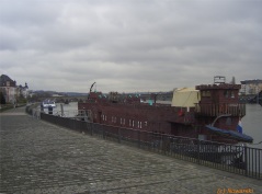 20070323-1411-2.jpg