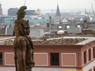 20110314-121102-Magenza-8137.jpg