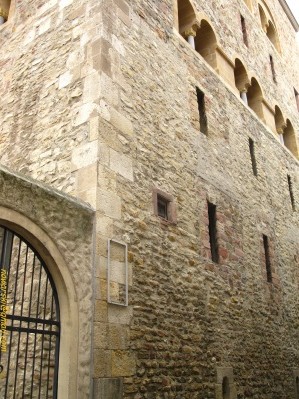 20110314-165602-Magenza-8284.jpg