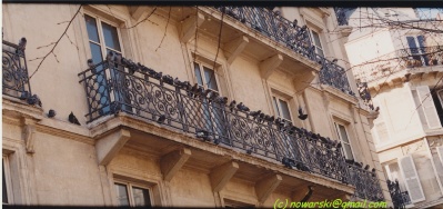 Paris-1-06-03.jpg