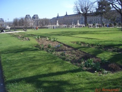 Paris le Jardin du Carrousel