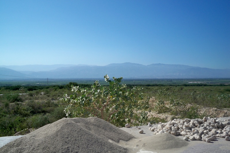 20100118-110448-Haiti-Adi-1363.jpg