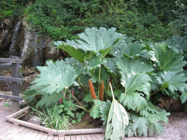 Blarney Gardens