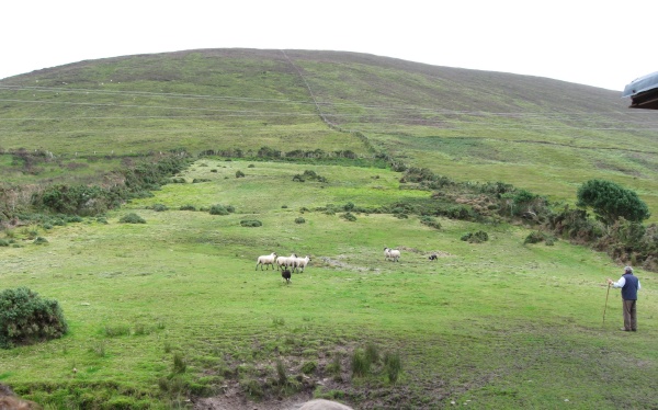Brendon Farm