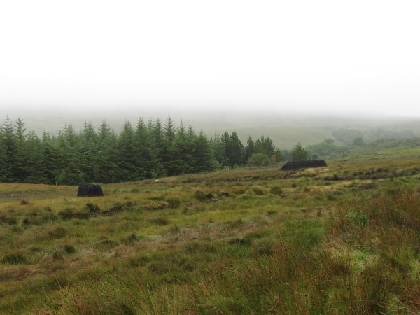 20090818-123548-ireland-0127.jpg