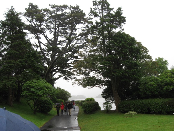 20090818-133258-ireland-0128.jpg
