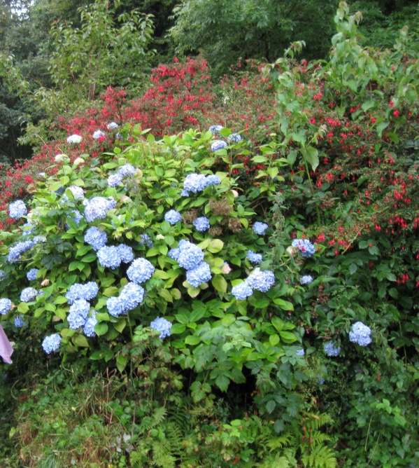20090820-180054-ireland-0158-2.jpg
