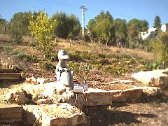 Zimbabwe Exhibition in Jerusalem Botanic Garden 12