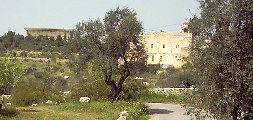 jerusalem-valley-of-cross-20040331-281.jpg
