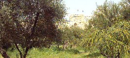 jerusalem-valley-of-cross-20040331-301.jpg