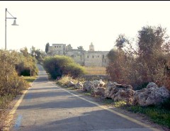 jerusalem-valley-of-cross-3.jpg