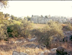 jerusalem-valley-of-cross-6.jpg