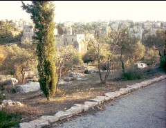 jerusalem-valley-of-cross-6.jpg