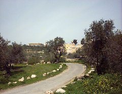 jerusalem-valley-of-cross-kneset-20040303-8.jpg