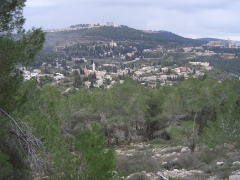20060114-jerusalem-ein-karem-6384.jpg