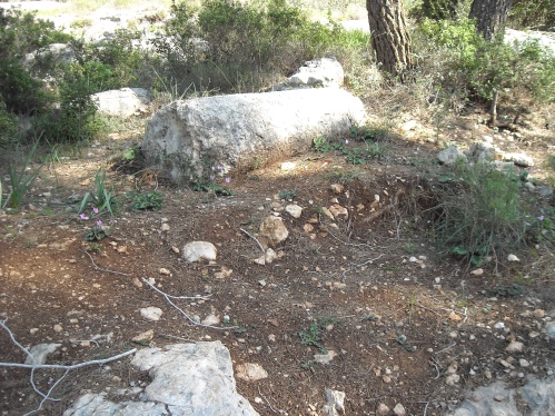 20090214-134224N0277-q.jpg
