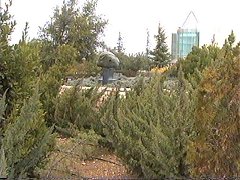 Wohl Rose Park in Jerusalem